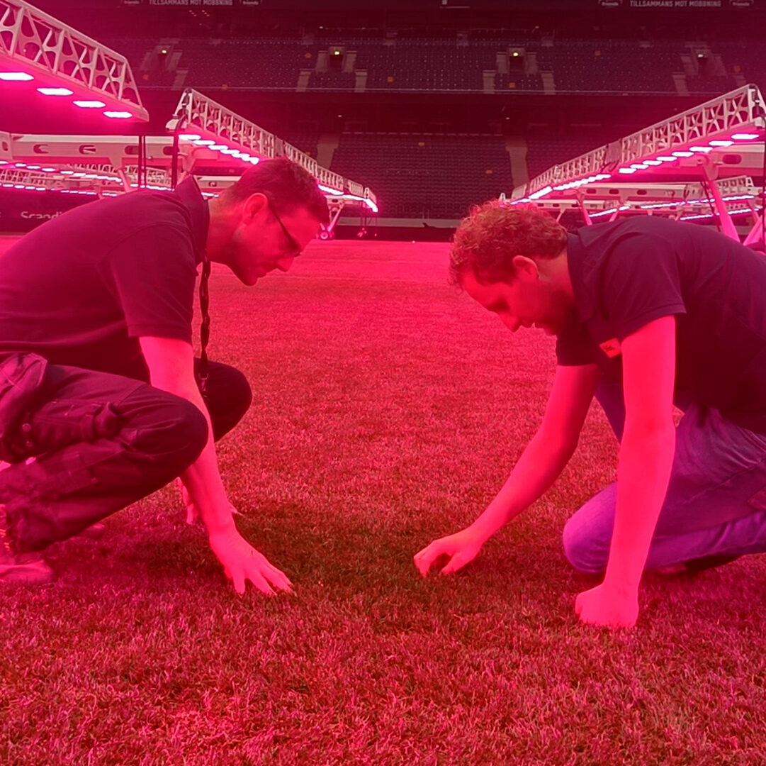Agronomist Remco van Adrichem and Head Groundsman Simeon Liljenberg inspecting the Friends Arena pitch/