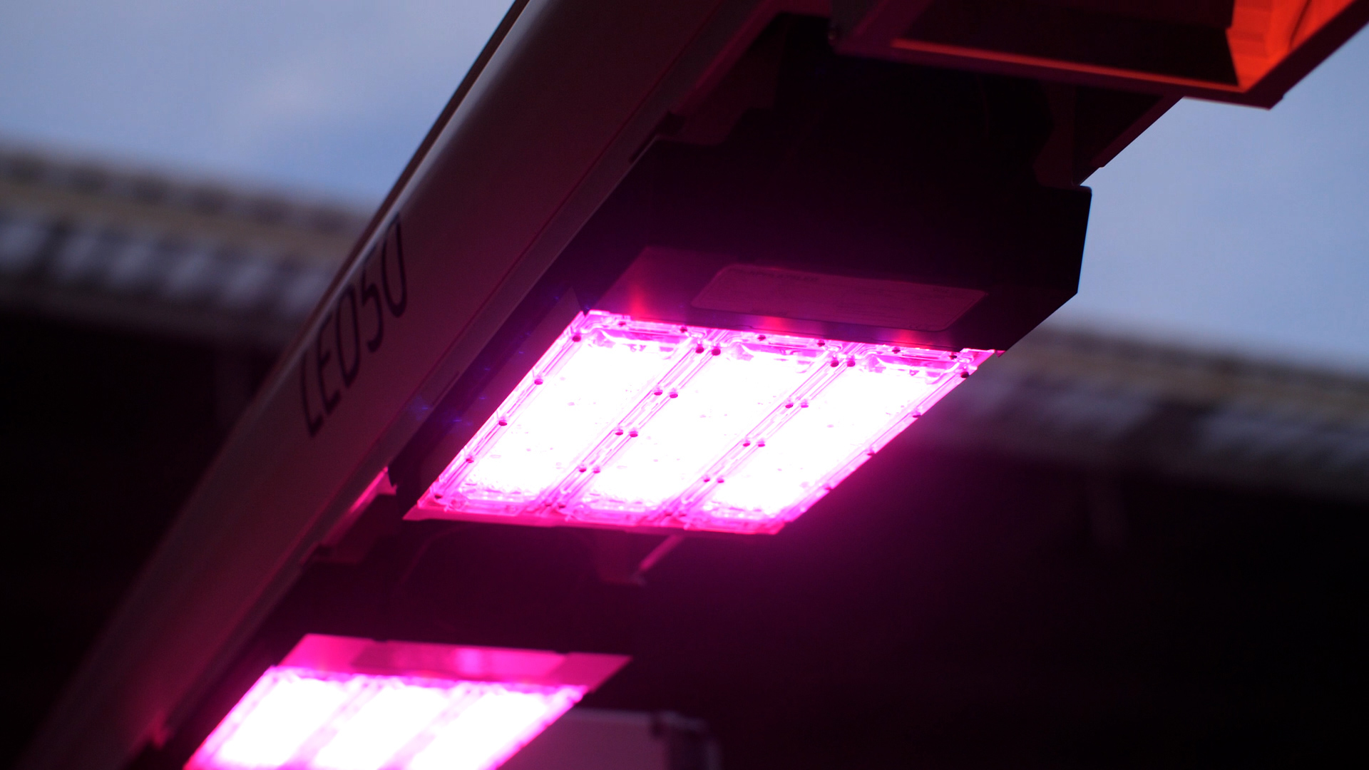 Close up picture of the LED fixture on the LED50.